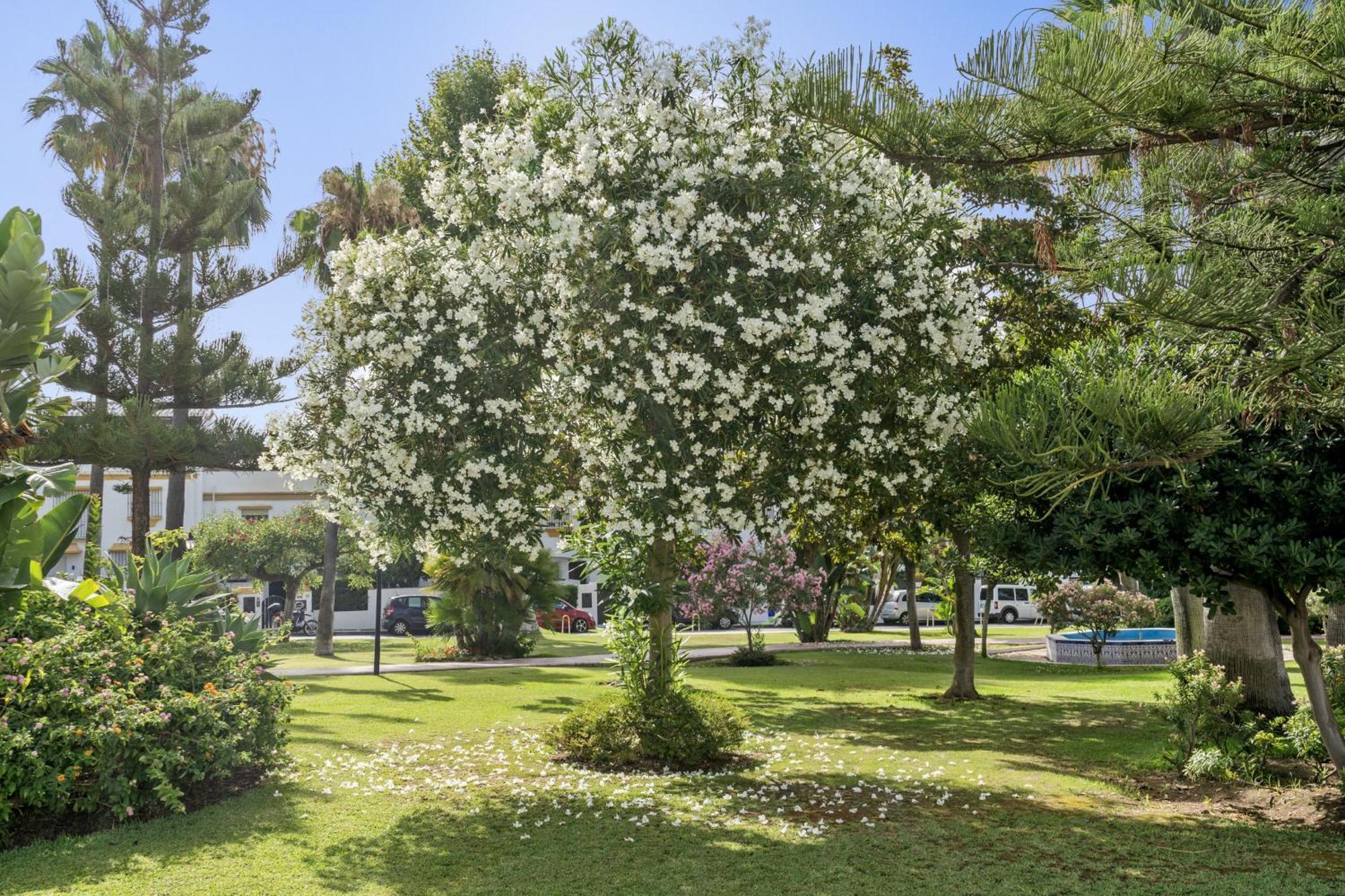 Casa Adriana Villa Marbella Ngoại thất bức ảnh